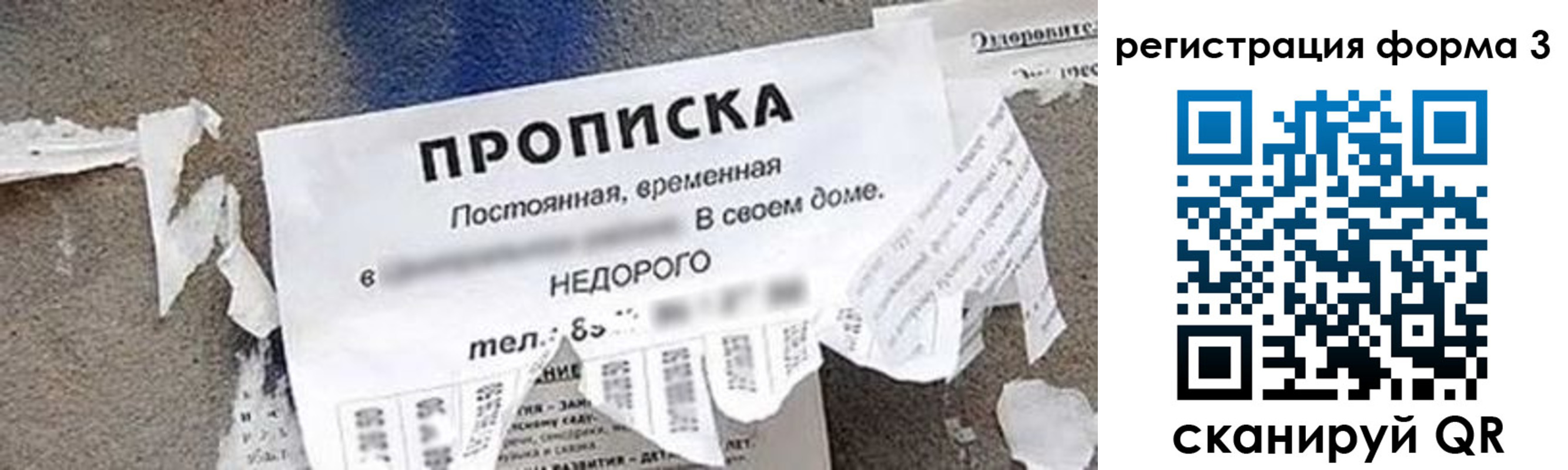 прописка 2025 в Полярных Зорях